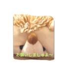 ボッコのんびりスタンプ（個別スタンプ：6）