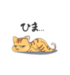ペトきちスタンプ1st（個別スタンプ：1）