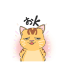 ペトきちスタンプ1st（個別スタンプ：4）