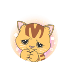 ペトきちスタンプ1st（個別スタンプ：6）