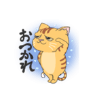 ペトきちスタンプ1st（個別スタンプ：8）
