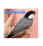 うちの子達の日常1（個別スタンプ：3）
