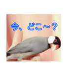 うちの子達の日常1（個別スタンプ：4）