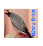 うちの子達の日常1（個別スタンプ：5）