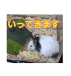 うちの子達の日常1（個別スタンプ：6）