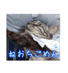 うちの子達の日常1（個別スタンプ：10）