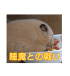 うちの子達の日常1（個別スタンプ：11）
