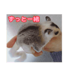 うちの子達の日常1（個別スタンプ：13）