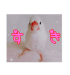 うちの子達の日常1（個別スタンプ：14）