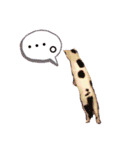 ねこまるー。（個別スタンプ：5）