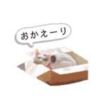 ねこまるー。（個別スタンプ：14）