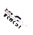 ねこまるー。（個別スタンプ：15）