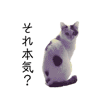 ねこまるー。（個別スタンプ：32）