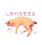 ねこまるー。（個別スタンプ：40）