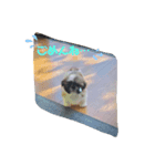 シーズー犬めい3（個別スタンプ：7）
