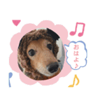 MD.めりぃちゃん。（個別スタンプ：1）