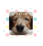 MD.めりぃちゃん。（個別スタンプ：7）