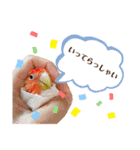 ぴんぴんすたんぷ（個別スタンプ：4）