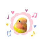 ぴんぴんすたんぷ（個別スタンプ：10）