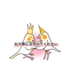 「オカメインコでございます。」2（個別スタンプ：13）