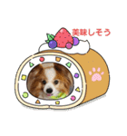 ぱぴぱぴパピヨン23（個別スタンプ：22）