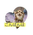 チワワのノエルくん（敬語）（個別スタンプ：2）