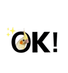 オカメインコのオルちゃん（個別スタンプ：12）