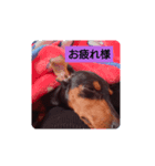 rinrinhappyhappy（個別スタンプ：8）