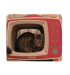 ルナノアワールド（個別スタンプ：14）