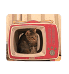 ルナノアワールド（個別スタンプ：15）