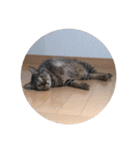 ルナノアワールド（個別スタンプ：18）