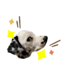 フィリくんのスタンプ（個別スタンプ：7）