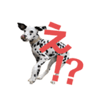 フィリくんのスタンプ（個別スタンプ：11）
