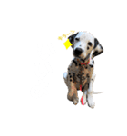 フィリくんのスタンプ（個別スタンプ：16）