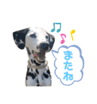 フィリくんのスタンプ（個別スタンプ：20）