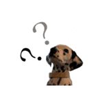 フィリくんのスタンプ（個別スタンプ：24）
