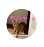 余市boyポンポンさん（個別スタンプ：1）