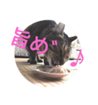余市boyポンポンさん（個別スタンプ：6）
