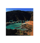 Hawaii Life So Beautiful（個別スタンプ：2）