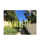 Hawaii Life So Beautiful（個別スタンプ：7）