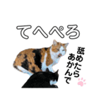 ファニーなニャンズ 2021 ネタにゃんこ（個別スタンプ：2）