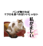 ファニーなニャンズ 2021 ネタにゃんこ（個別スタンプ：4）