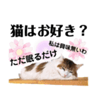 ファニーなニャンズ 2021 ネタにゃんこ（個別スタンプ：11）