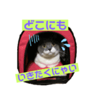 ろろすたんぷ（個別スタンプ：2）