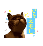 ろろすたんぷ（個別スタンプ：3）
