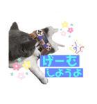 ろろすたんぷ（個別スタンプ：5）