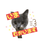 ろろすたんぷ（個別スタンプ：6）