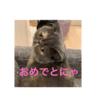 ぽちょむですぅ（個別スタンプ：37）