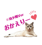 我が家のリクーム10歳記念（個別スタンプ：3）