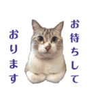 我が家のリクーム10歳記念（個別スタンプ：4）